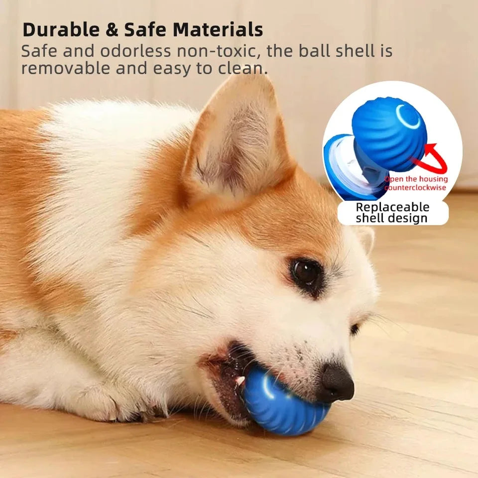 Dogorium™ Interactive Ball