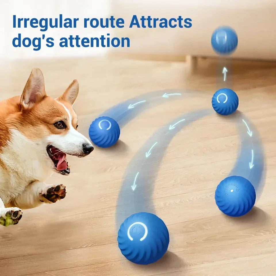 Dogorium™ Interactive Ball