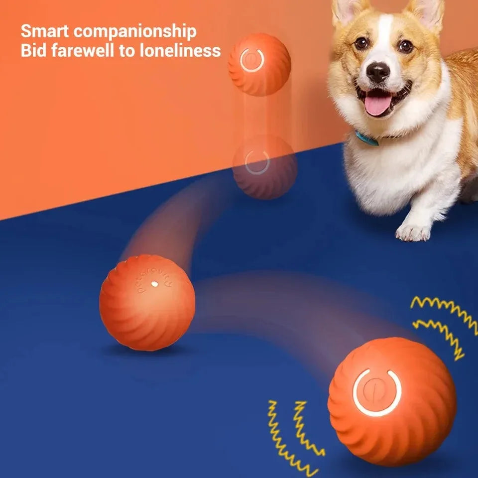 Dogorium™ Interactive Ball