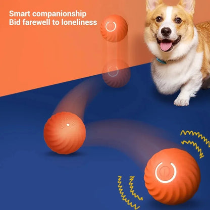 Dogorium™ Interactive Ball