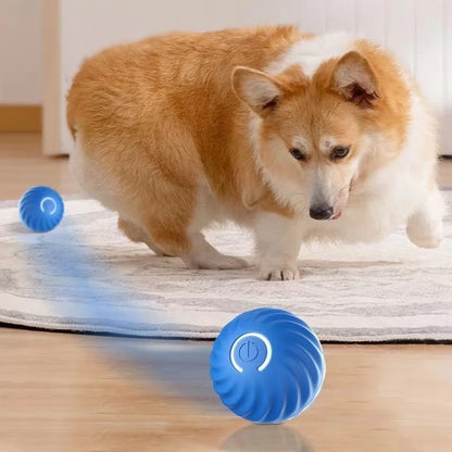 Dogorium™ Interactive Ball