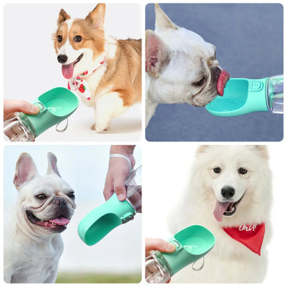 Dogorium™ Water Bottle