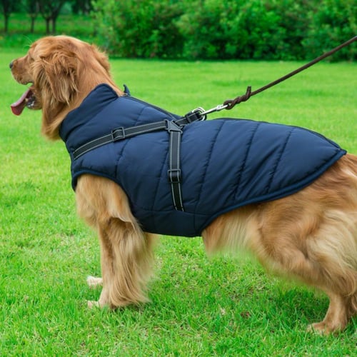 Dogorium™ WaterProof Jacket